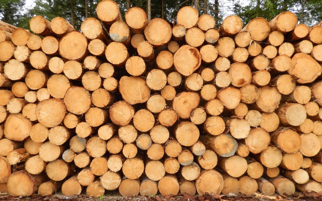 Peran KPH Untuk Mewujudkan Pengelolaan Hutan Lestari Melalui Penguatan SVLK