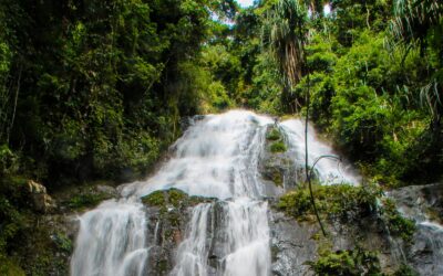 Surga Alam di Balik Semak Belukar
