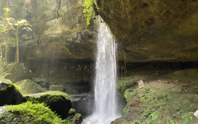 Ada Hidden Gem di Simpang Kapuak