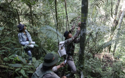LPHN Halaban Telusur Titik Koordinat Batas Hutan Nagari