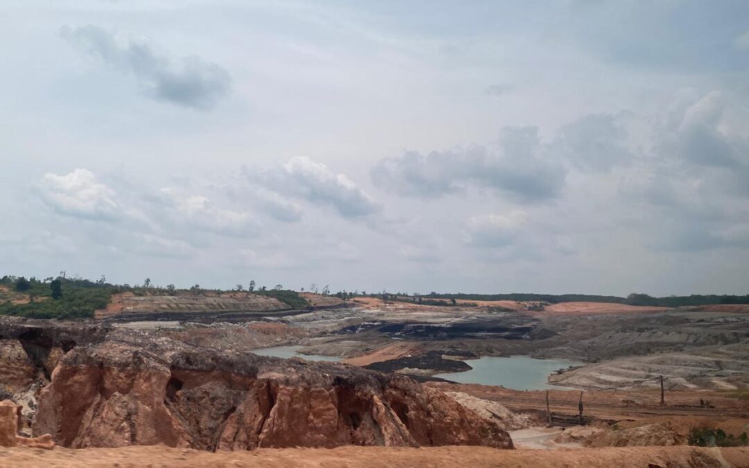 Riset KKI Warsi dan UNJA Ungkap Dampak Tambang Batubara terhadap Kehidupan Orang Rimba di Batanghari