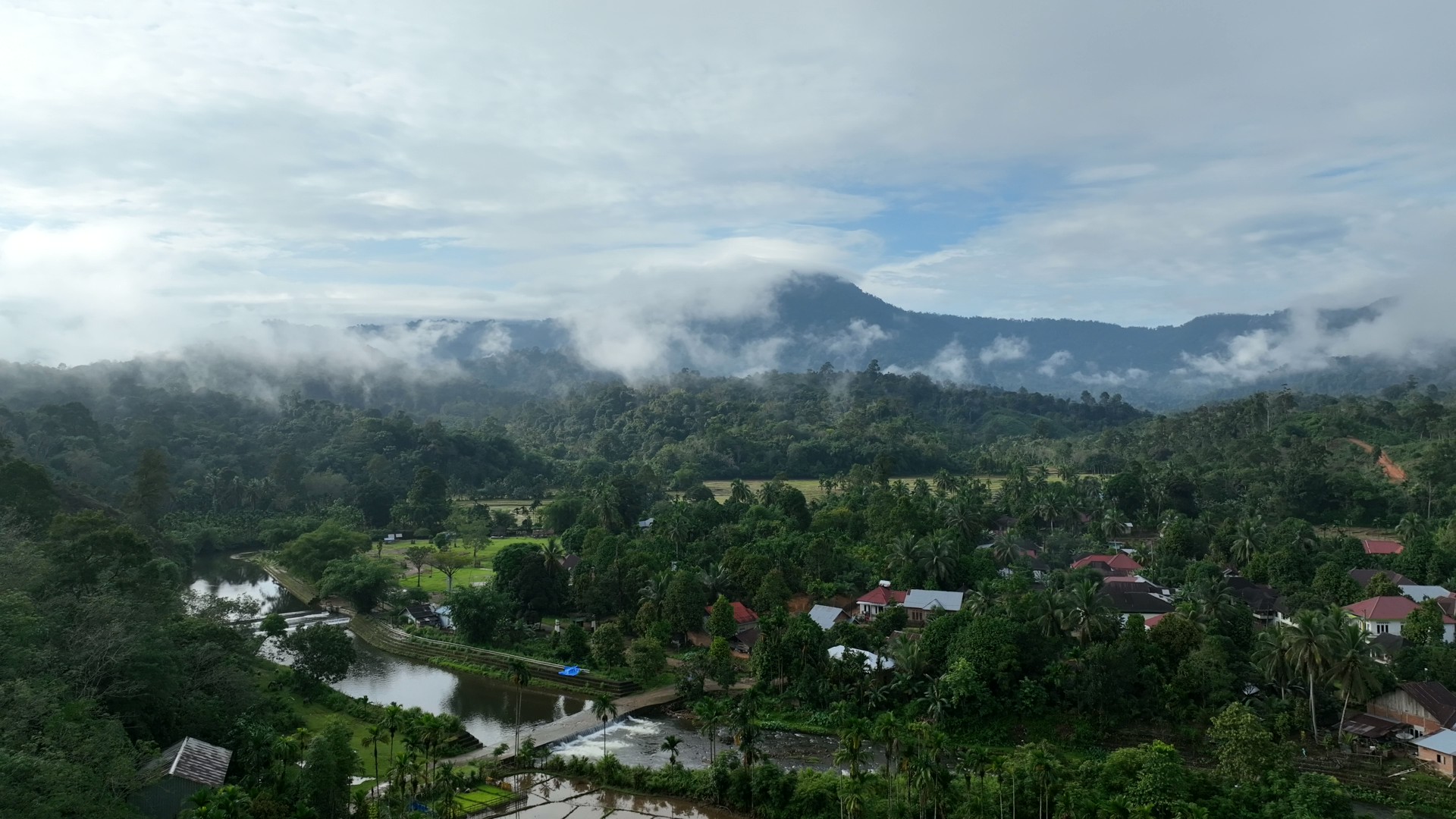 Bujang Raba Menuju Era Baru Perdagangan Karbon Berbasis Masyarakat