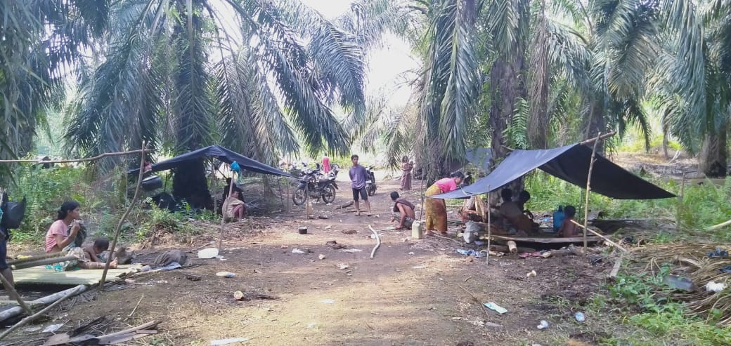 Perempuan Orang Rimba Bertahan di Tengah Hutan yang Kian Menyusut