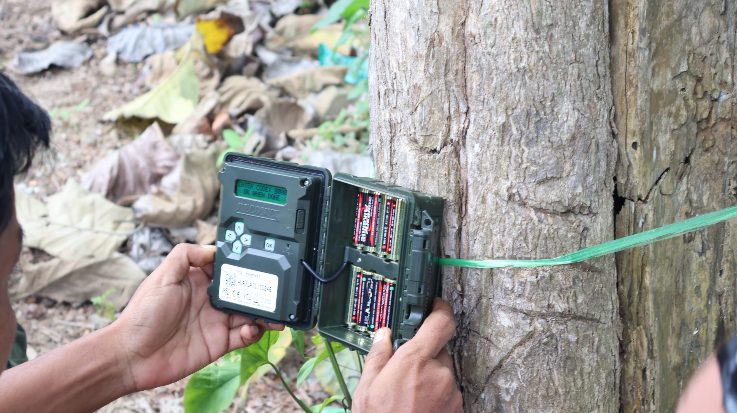 Menjaga Harimau Sumatra: Pelatihan Penggunaan Camera Trap dalam rangka Penyusunan Strategi Monitoring Satwa Liar di Lanskap Berbak-Sembilang
