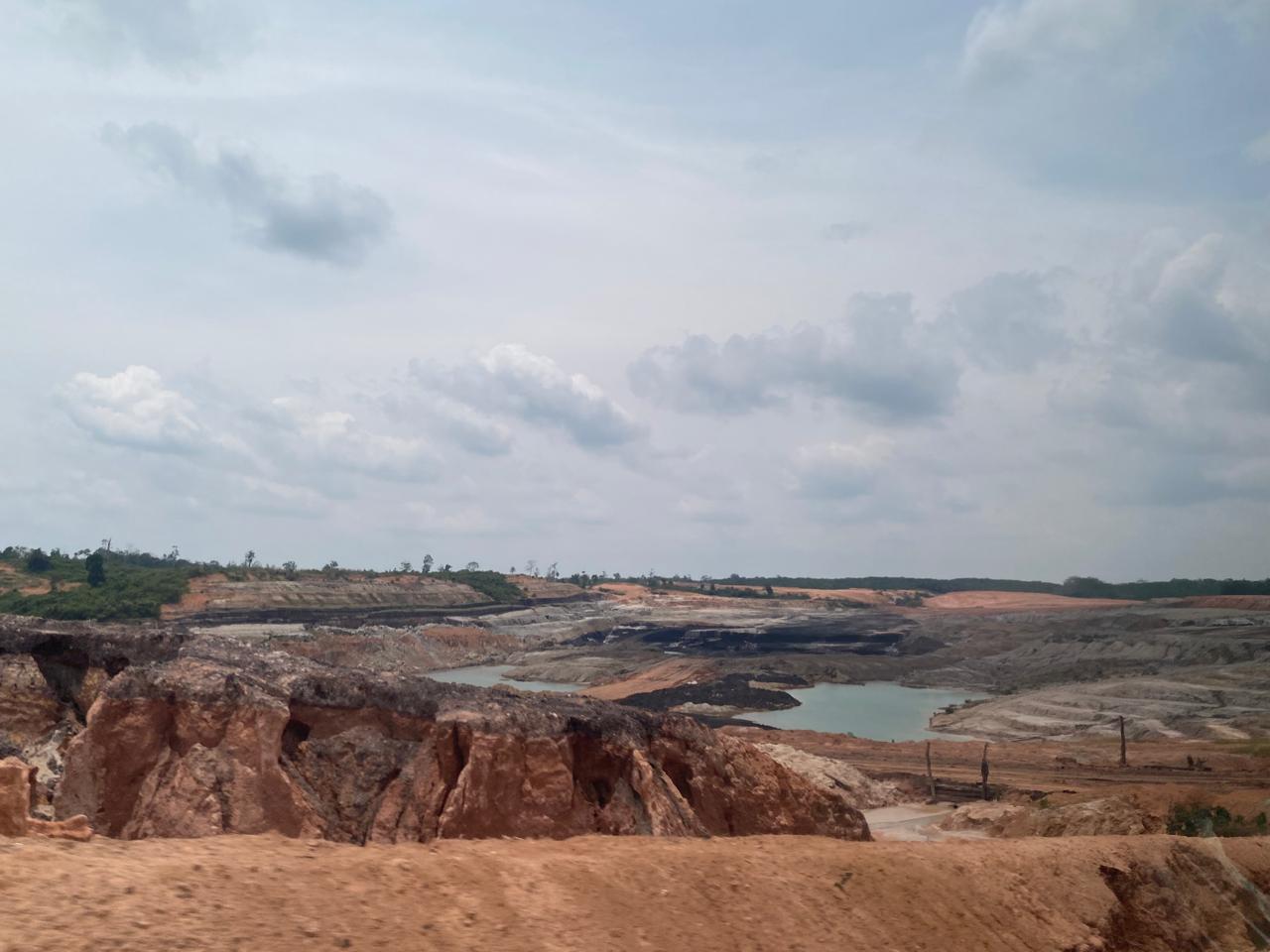 Riset KKI Warsi dan UNJA Ungkap Dampak Tambang Batubara terhadap Kehidupan Orang Rimba di Batanghari